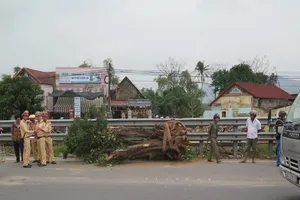 Hàng trăm hành khách thoát nạn khi tàu SE2 đâm cần cẩu