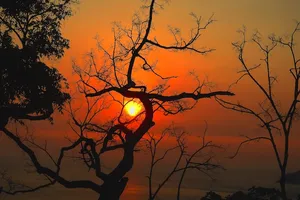 Sơn Trà đẹp ngỡ ngàng trong khoảnh khắc giao mùa