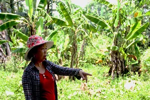 Giám sát vụ 200 hộ dân chờ tái định cư