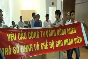 Đà Nẵng công khai các 'đại gia' nợ tiền bảo hiểm xã hội