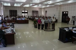 ĐBQH giám sát phiên tòa xử vụ buôn lậu gỗ quý 