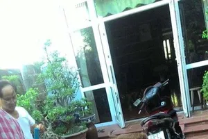 Giải cứu trăn lớn đột nhập nhà dân, thả về tự nhiên 