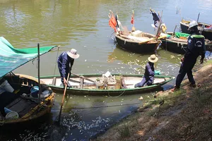 Sáng ra thấy cá chết trắng kênh Phú Lộc