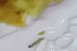 Con đăng clip bánh Trung thu có dòi, mẹ phải bồi thường