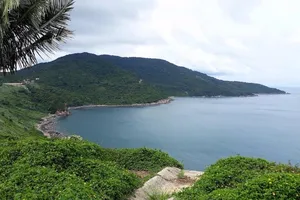 Dừng tham quan bán đảo Sơn Trà từ ngày 2-11