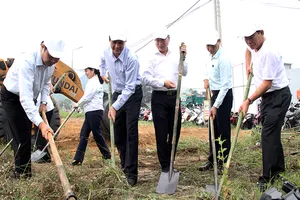 Lãnh đạo Đà Nẵng làm vệ sinh môi trường hưởng ứng APEC