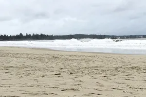 Dừng nhận chìm 62.000 m3 bùn thải xuống biển Tịnh Khê