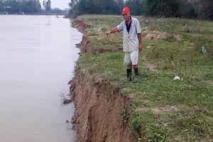 Đất sản xuất của người dân Đà Nẵng trôi xuống sông