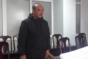 Khởi tố 4 cán bộ tổ đền bù giải tỏa đất rừng ở Sơn Trà 