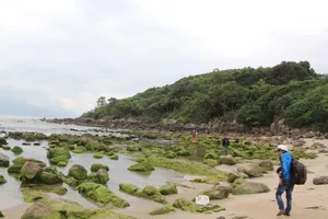 Quận Liên Chiểu đề xuất giữ lại ghềnh đá Nam Ô