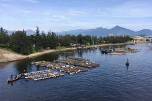 Thi thể 1 phụ nữ bị trói, trùm kín đầu bằng nylon