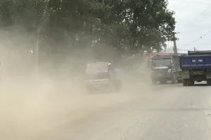 Đà Nẵng: Tạm giữ 541 xe và tước bằng 942 tài xế vi phạm