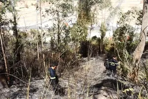 Hàng trăm người chữa cháy rừng dưới cái nắng 40 độ