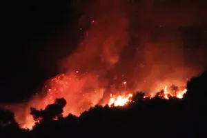 Hàng trăm người chữa cháy rừng trong đêm