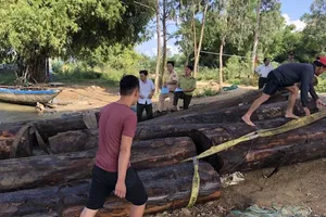 Công an truy đuổi thuyền chở gỗ trên sông Thu Bồn