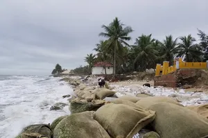 Hội An: Bờ biển Cửa Đại tan hoang