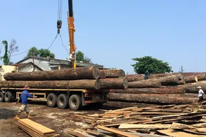 Một tài xế bị gỗ đè tử vong