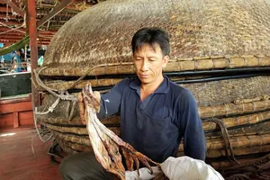 Gần 1.000 tấn mực khô 'nằm im lìm dưới hầm'