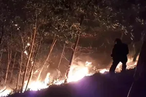 Cháy rừng lớn tại Quảng Nam, thiệt hại hàng trăm ha