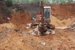 Thông tin mới vụ dân phải bỏ tiền để được tiêu hủy heo bệnh