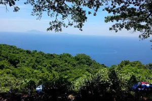 Bốn du khách lạc trong rừng, một thợ câu ứng cứu tử vong