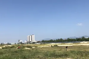 Điều chỉnh thời hạn các lô đất cấp sai ở Đà Nẵng