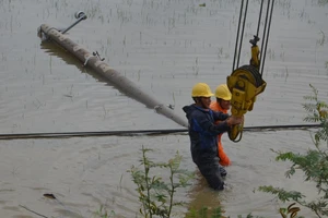 Hơn nửa triệu dân miền Trung bị mất điện vì bão