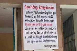 Giữa mùa dịch COVID-19: Đà Nẵng dễ thương quá! 