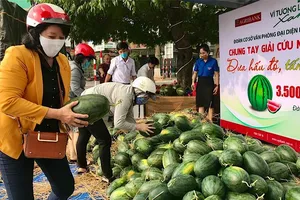Agribank miền Trung bán dưa hấu cho nông dân Quảng Ngãi