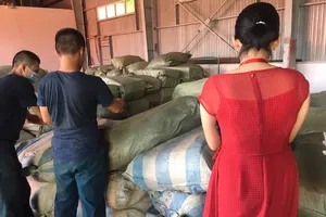 Nóng: 103 tấn dược liệu đội lốt củ cải nhập vào Đà Nẵng