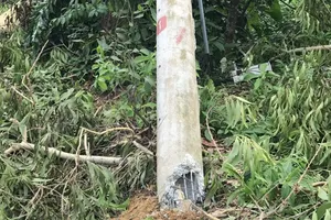 Điện lực Miền Trung nói về các cột điện bị gãy ở Huế