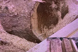 Quảng Nam: Khởi tố vụ phá rừng tại Phước Sơn