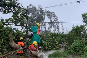 401.875 khách hàng bị mất điện vì bão, EVNCPC vượt mưa lũ sửa chữa cho dân