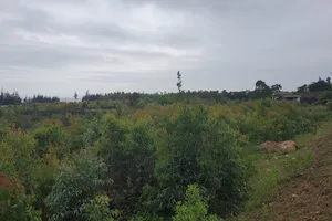 Người dân đi không được, ở không xong vì dự án chậm triển khai 