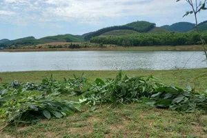 2 anh em ruột chết đuối khi thả lưới trên hồ