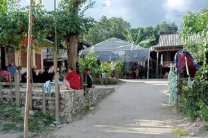 Quảng Bình: Thêm 1 người tử vong vì bệnh dại sau 3 tháng bị chó cắn