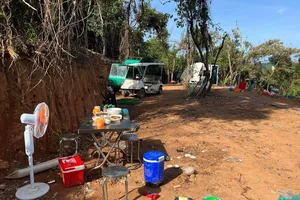 Đà Nẵng: Rừng Hải Vân bị 1 đơn vị san ủi trái phép