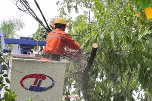 Bão Noru làm hơn 1,4 triệu khách hàng mất điện