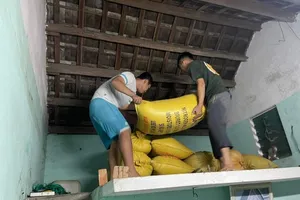 Đà Nẵng có công điện khẩn ứng phó với bão số 6 