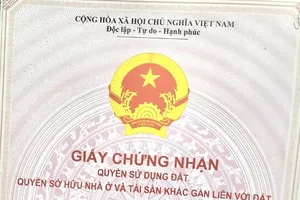 Tiếp tay cấp sổ đỏ trái luật, 3 cán bộ xã bị khai trừ Đảng 