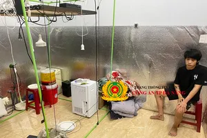 Nam thanh niên trồng cần sa trong phòng ngủ