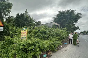 Chủ tịch Quảng Nam chỉ đạo giải quyết vụ hộ dân phản ánh bị đo thiếu 210 m2 đất 