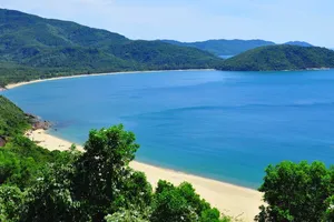 Đà Nẵng chuyển đổi gần 30 ha đất rừng tại dự án Làng Vân.