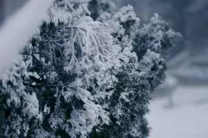 Rét hại ở miền Bắc.