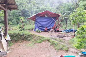 Hàng trăm người truy lùng nghi phạm sát hại người tình rồi bỏ trốn vào rừng