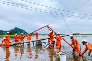 273 kỹ sư và công nhân điện lực miền Trung sẽ ra miền Bắc hỗ trợ khắc phục sự cố lưới điện