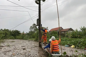 Tổng công ty điện lực miền Trung yêu cầu trực 24/24h, theo dõi diễn biến của bão Trà Mi