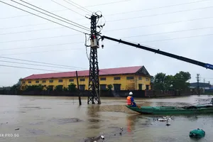 Điện lực miền Trung khắc phục sự cố, cấp điện trở lại cho người dân sau bão Trà Mi