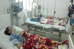 5 người đi cấp cứu sau khi ăn canh chua cá nóc