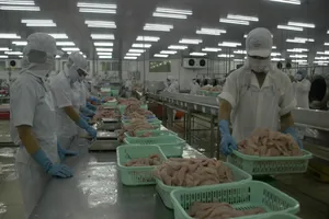 Tiêu chuẩn xuất khẩu cá tra sang Trung Quốc ngày càng khắt khe